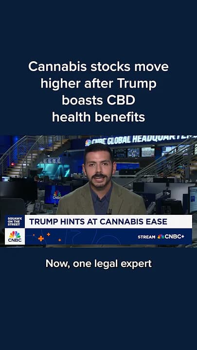 Cannabis stocks move higher after Trump boasts CBD health benefits