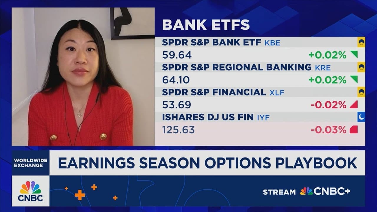 The market's like a paddling duck—calm on top, chaos underneath, says RBC's Amy Wu Silverman